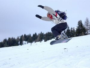 19920391-Ferienwohnung-6-La Bresse-300x225-1