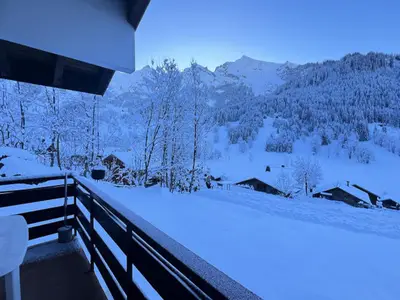 Ferienwohnung für 6 Personen (40 m²) in La Clusaz 3/10