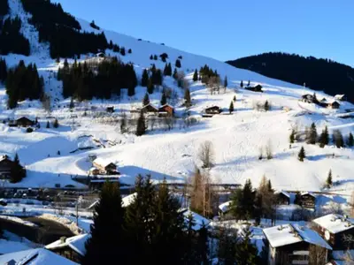 Ferienwohnung für 7 Personen (81 m²) in La Clusaz 2/10