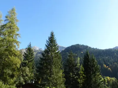 Ferienwohnung für 7 Personen (68 m²) in La Clusaz 4/10