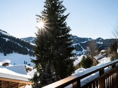 Ferienwohnung für 13 Personen (168 m²) in La Clusaz 4/10