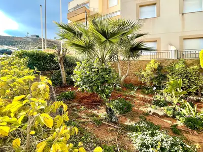 GardenSummer