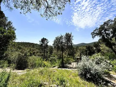 Ferienwohnung für 9 Personen (240 m²) in La Londe-les-Maures 5/10