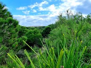 Ferienwohnung für 4 Personen (52 m&sup2;) in La Mata