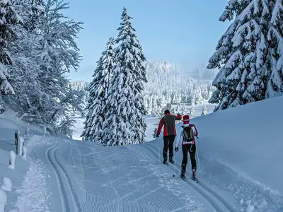 AreaWinter20KM