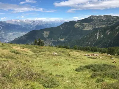 Ferienwohnung für 5 Personen (30 m²) in La Tzoumaz 6/10