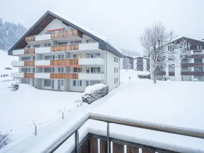 Bild 7