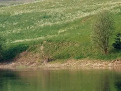 Ferienwohnung für 6 Personen in Laax 5/10