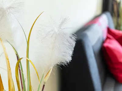 Ferienwohnung für 2 Personen (40 m²) in Laboe 7/10