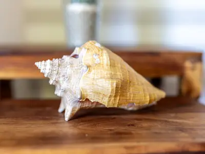 Ferienwohnung für 4 Personen (50 m²) in Laboe 4/10