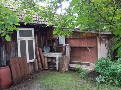 Gartenbereich