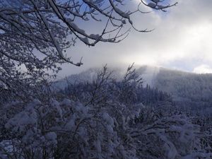 22030219-Ferienwohnung-4-Lackenhof am Ötscher-300x225-5