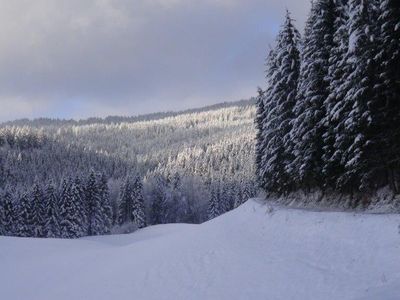 Hinter unserem Haus beginnt der Schneeschuhwanderweg Kesselgraben