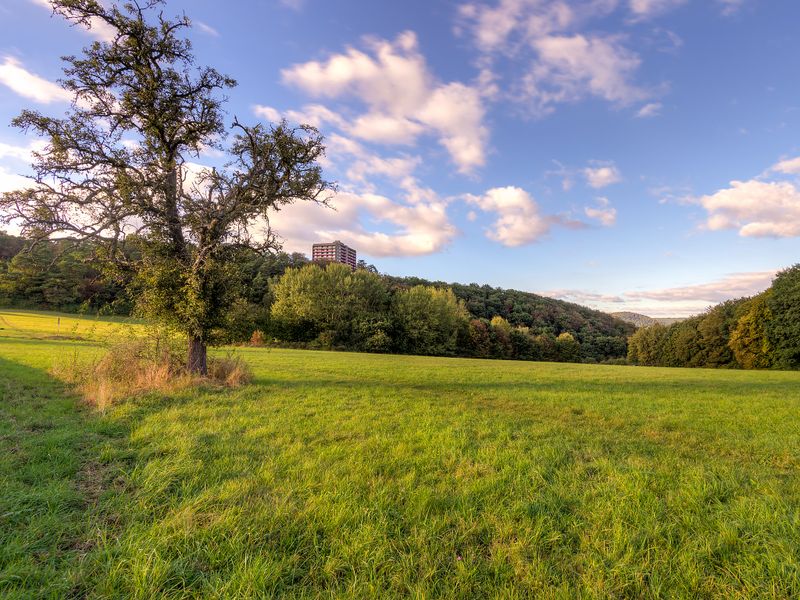 23837550-Ferienwohnung-4-Lahnstein-800x600-1