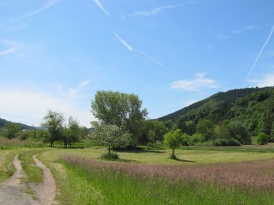 Zwischen Reichenbach und Seelbach