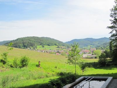 Aussicht von der Wassertretstelle auf Reichenbach