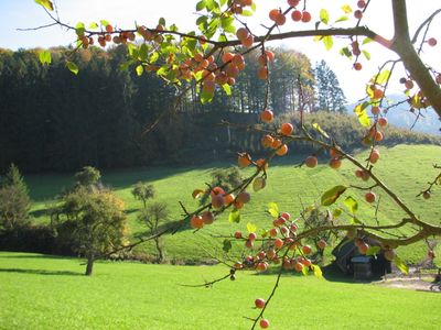 Herbst im Gereutertal