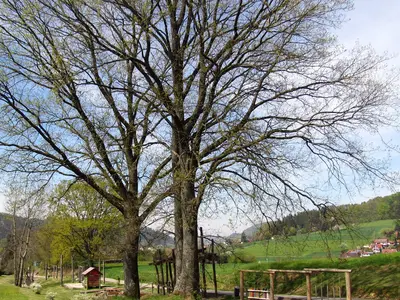 Am Kapellenweg in Reichenbach