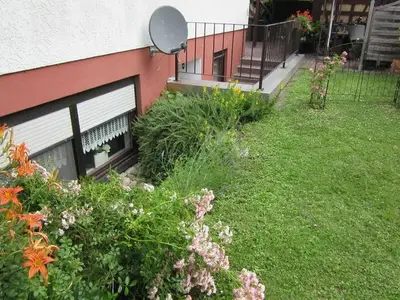Ferienwohnung für 3 Personen (45 m²) in Lahr/Schwarzwald 5/10