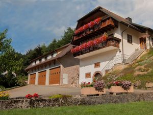 Ferienwohnung für 4 Personen (67 m²) in Lahr/Schwarzwald