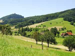 23938079-Ferienwohnung-4-Lahr/Schwarzwald-300x225-5