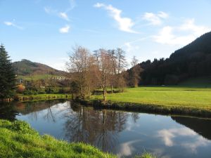 18495271-Ferienwohnung-3-Lahr/Schwarzwald-300x225-4