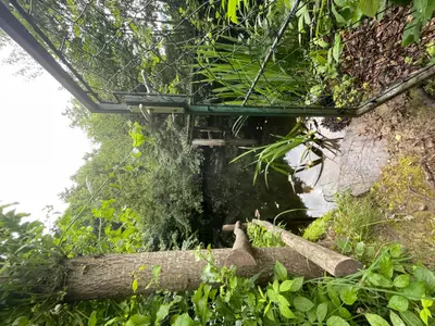 Privater Naturschwimmteich oberhalb der Ferienwohnung