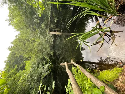 Privater Naturschwimmteich oberhalb der Ferienwohnung