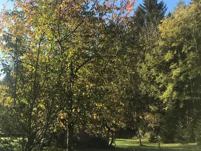 Wunderschöne Sommertage auf dem 1000Krauthof