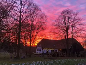 Ferienwohnung für 8 Personen (124 m²) in Bergfeld
