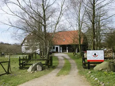 Ferienwohnung für 8 Personen (124 m²) in Bergfeld 2/10