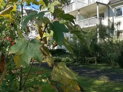 Ferienwohnung für 2 Personen (50 m²) in Lalendorf 1/10