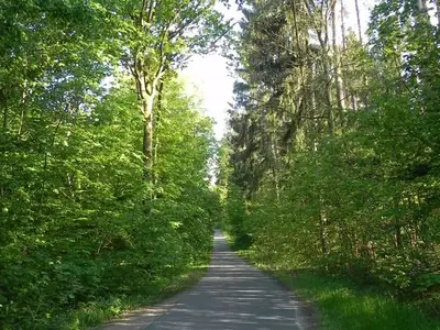 Ferienwohnung für 2 Personen (50 m²) in Lalendorf 5/10