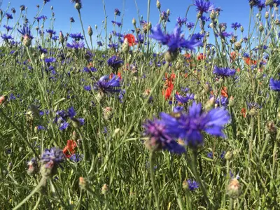 Ferienwohnung für 8 Personen (130 m²) in Lalendorf 5/10