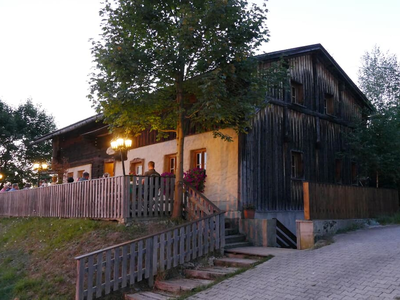 Waldlerhaus im Augus