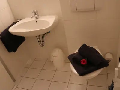 BAD/WC im Appartement "OSSER"