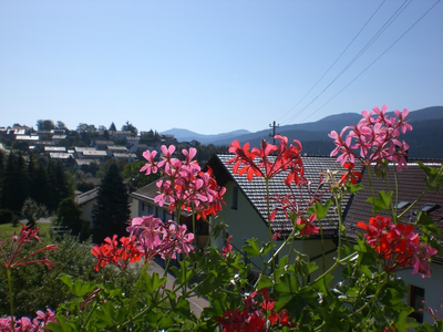 Blick vom Balkon zum