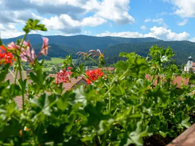 Traumhafter Ausblick