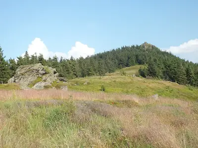 Osserwiese