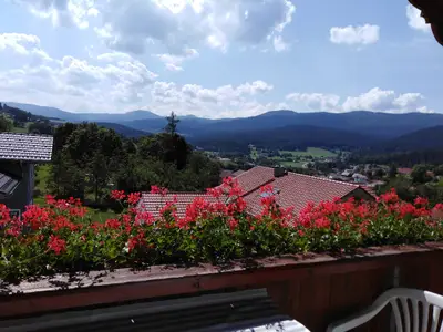 Blick auf die Bayerwaldberge