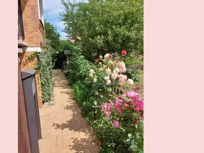 Ferienwohnung für 2 Personen (30 m²) in Lambrechtshagen 3/10