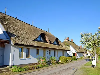 Ferienwohnung für 4 Personen (70 m²) in Lancken-Granitz (Rügen) 2/10