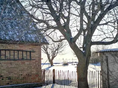 Ferienwohnung für 6 Personen (100 m²) in Lancken-Granitz (Rügen) 6/10
