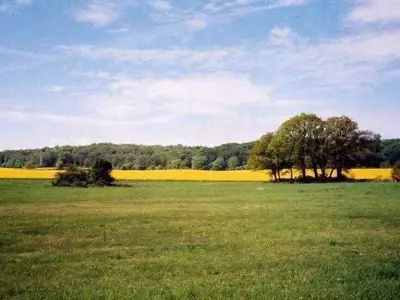 Ferienwohnung für 4 Personen (75 m²) in Lancken-Granitz (Rügen) 6/10