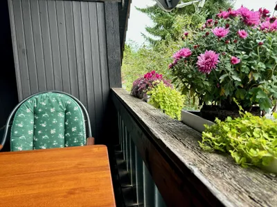 Balkon Aussicht Süd-Ost