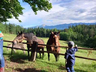 Fany und Fina in der Waldwiese