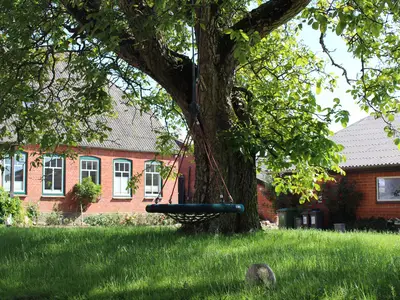 Nestschaukel im Walnussbaum
