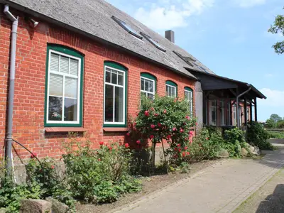 Rosenbeet vor dem Wohnhaus