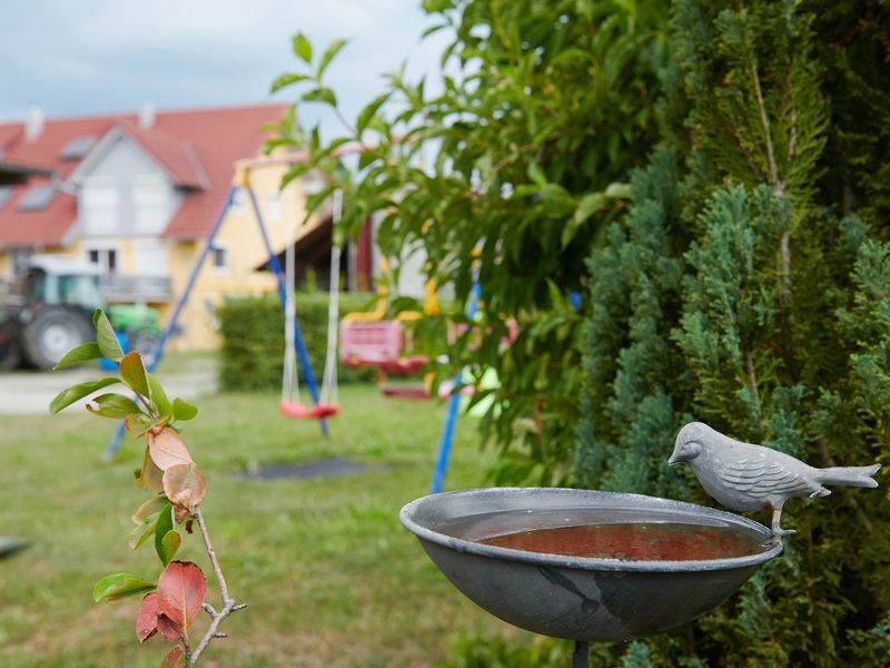 23569177-Ferienwohnung-2-Langenargen-800x600-2