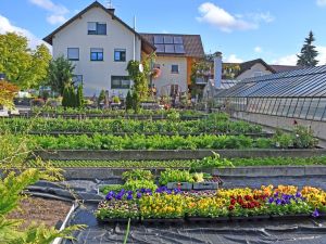 Ferienwohnung für 6 Personen (135 m&sup2;) in Langenargen